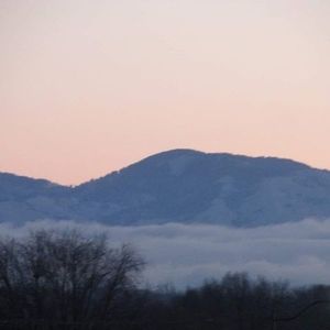 Meet your Posher, Ellie